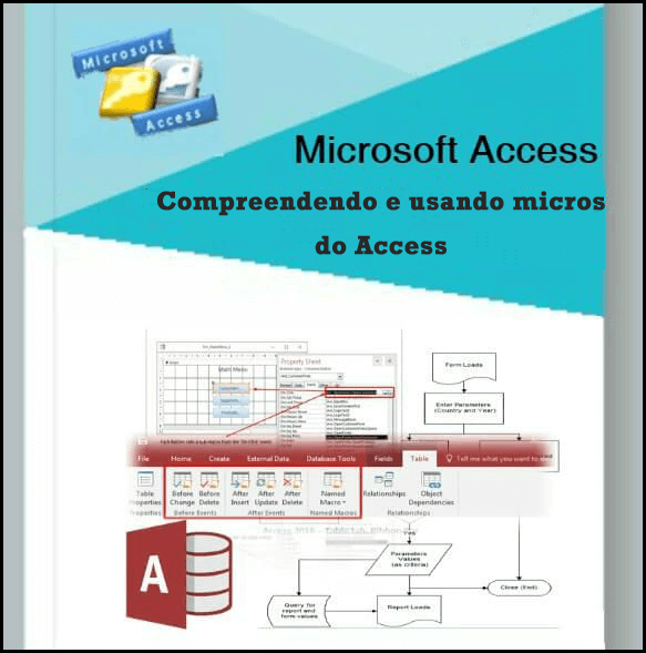 Compreendendo e usando micros do Access